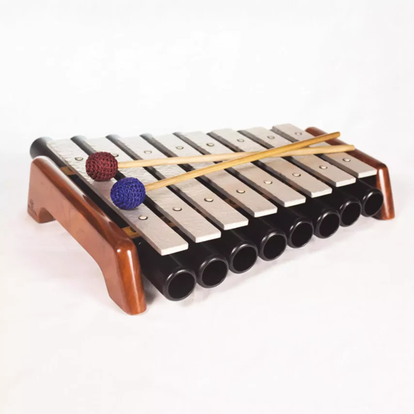 Svara Tarang 1'' 8 Bar Resonators