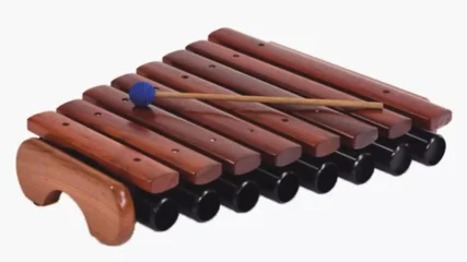 Kastha Tarang 8 Bar Resonators