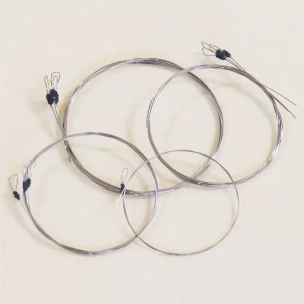 Svaraveena - String Set