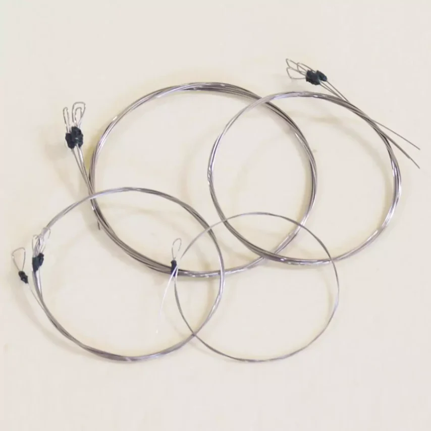 Svaraveena - String Set