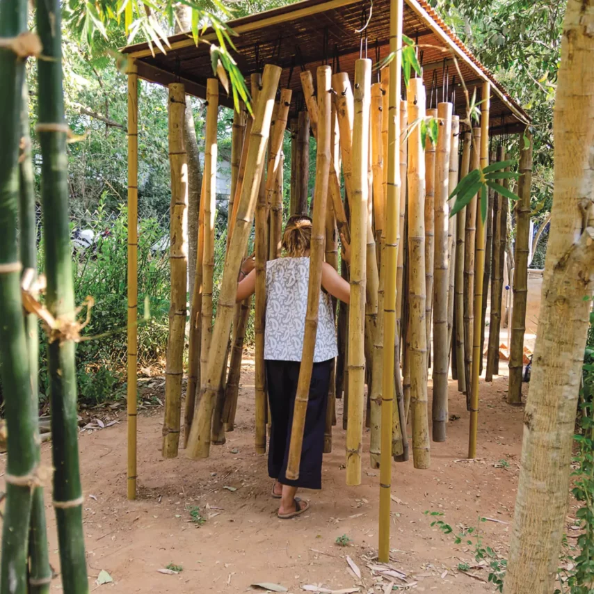 Bamboo Grove