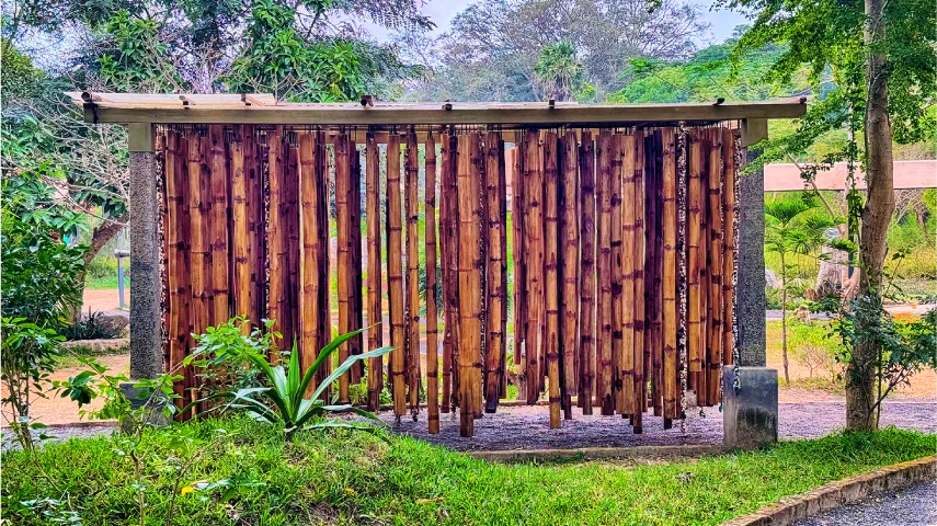 Bamboo Grove