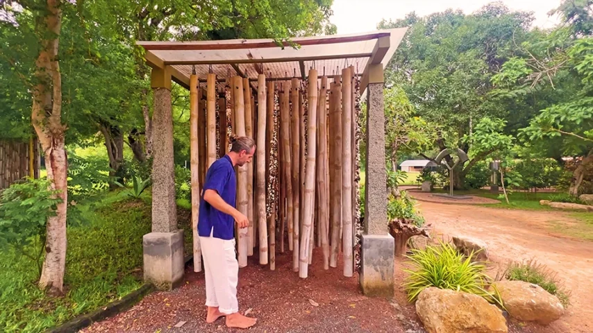 Bamboo Grove - Image 2