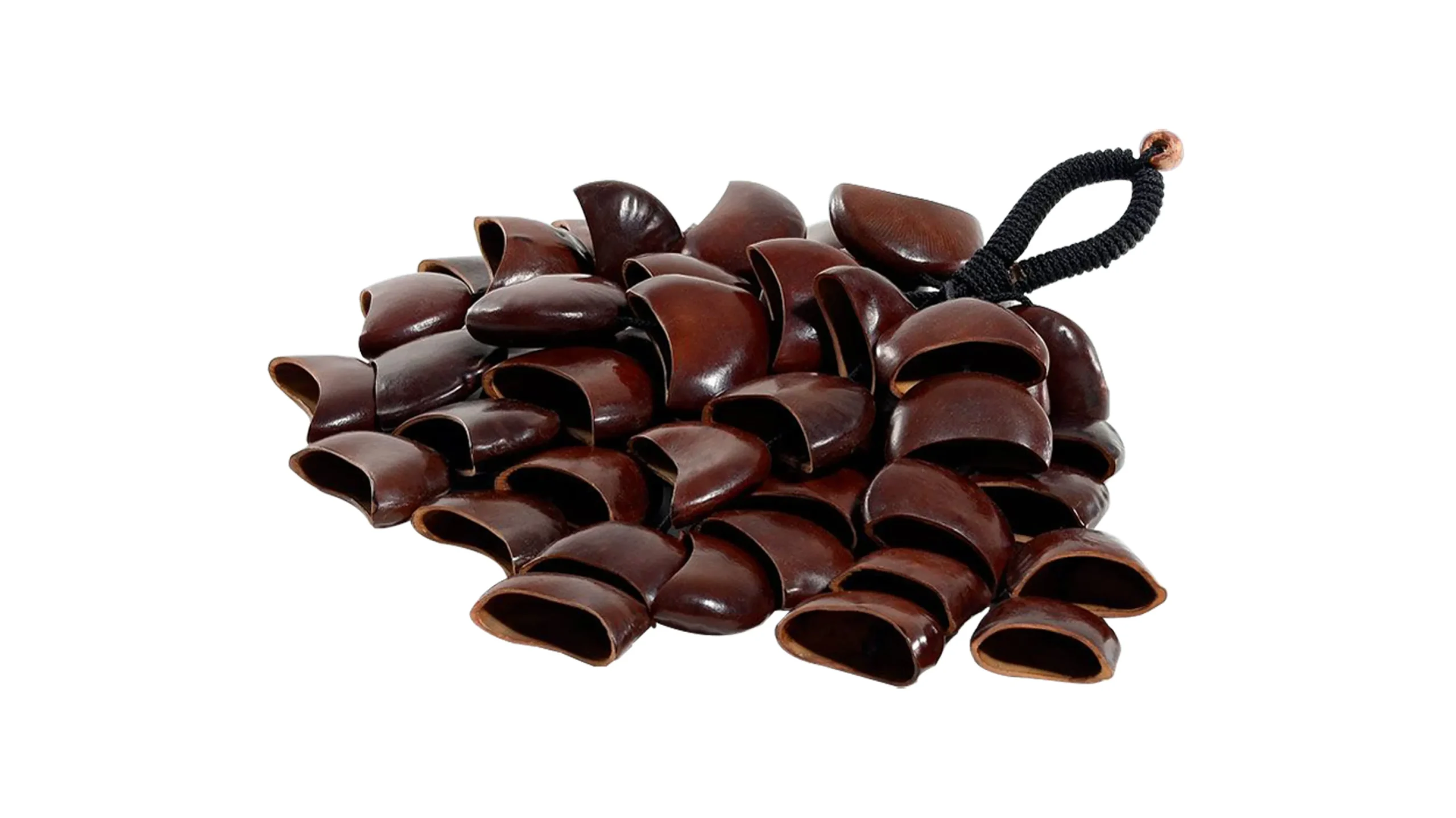 Ghungroo - Sea Rattle - Image 1