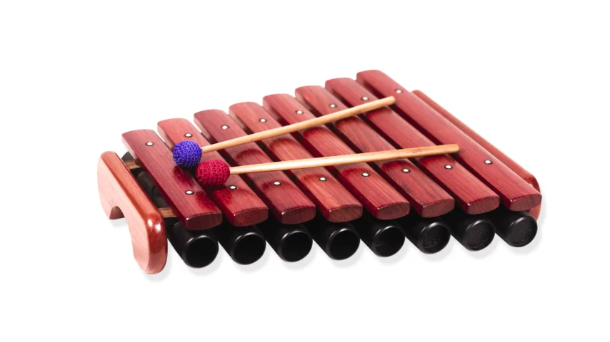 Kastha Tarang Resonators 8 bars - Image 1