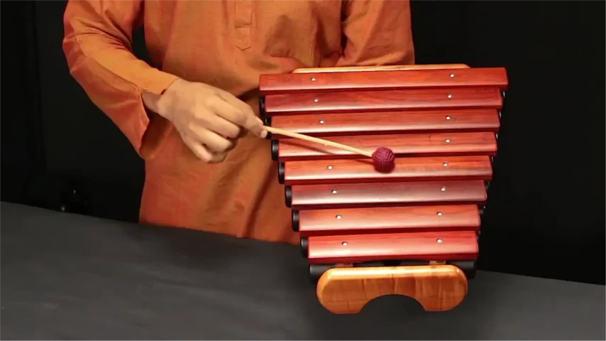 Kastha Tarang Resonators 8 bars - Image 2