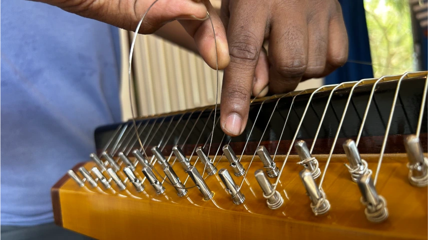 Nidranantar - String Set