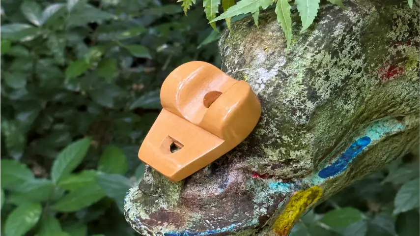 Nose Bird