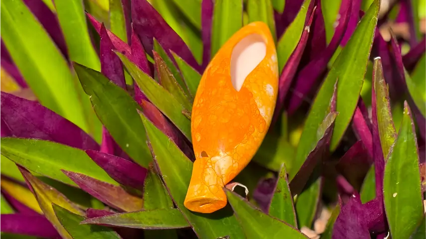Ocarina - Bird