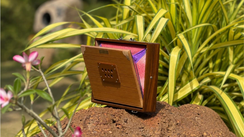 Shruti Box Single Octave