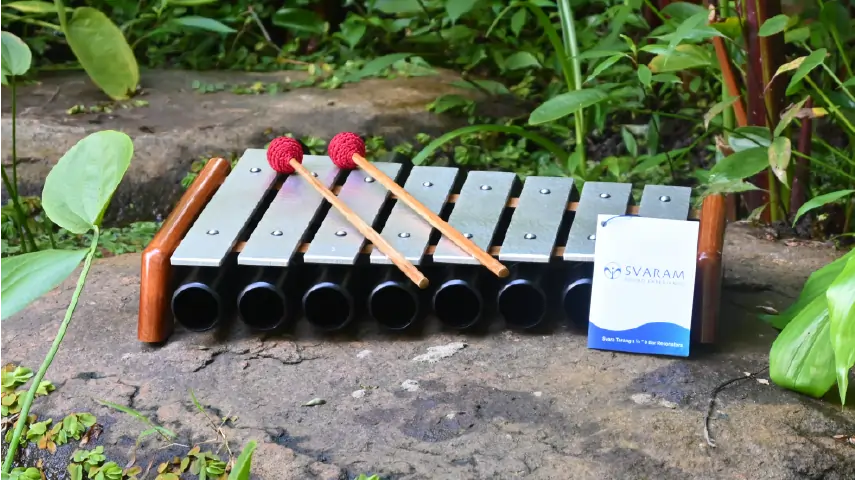 Svara Tarang Resonators 1 inch 8 bars
