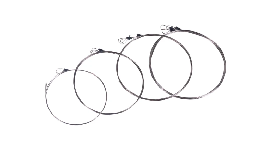 Svaraveena - String Set
