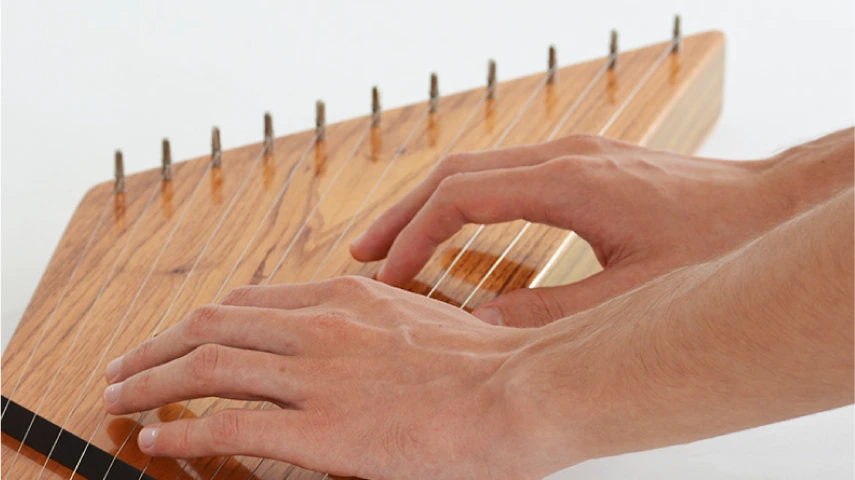 Svaraveena - String Set