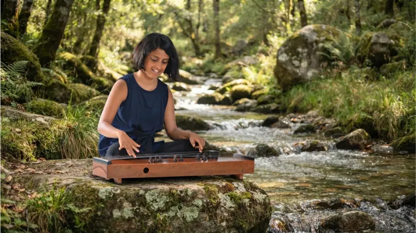 Tanpura Santoor