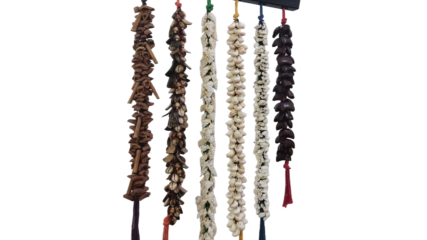 Ghungroo - Water Rattle