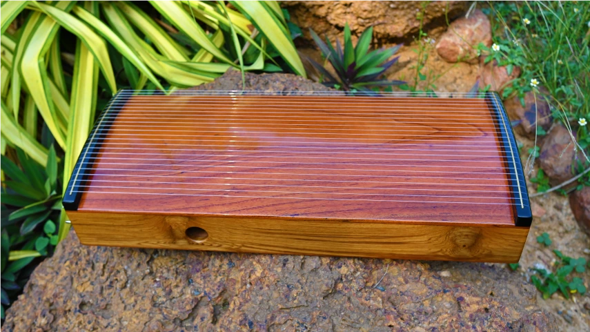 Monochord